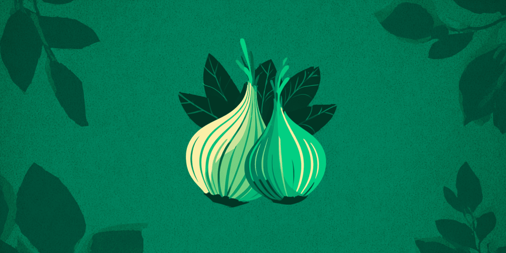 Tor Logo - Green - Hidden Wiki